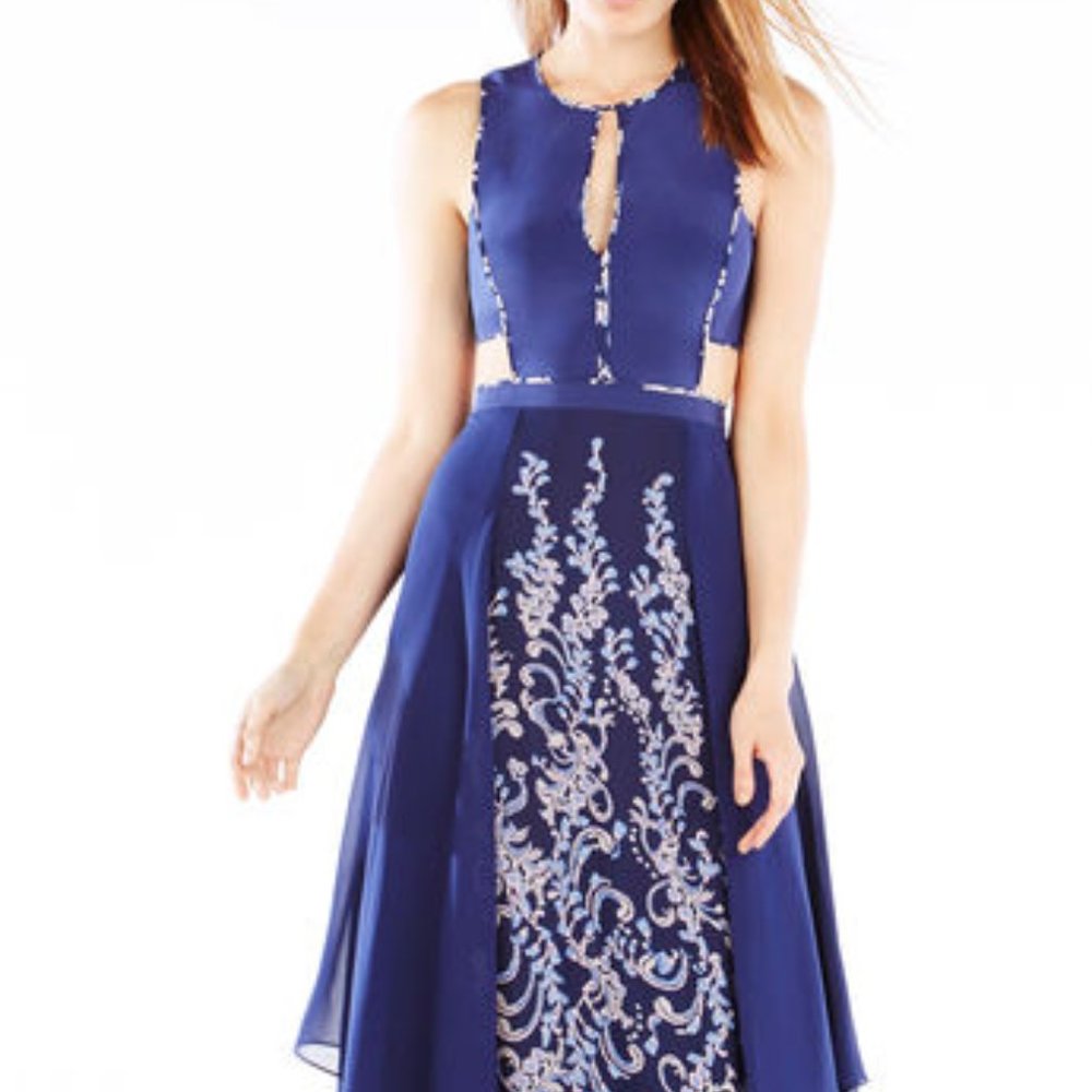 ISO BCBG Runway Odila Dress (2016)